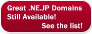 Great NE.JP Domains